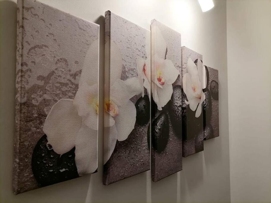 Zen By Downtown Apartments Тиргу-Муреш Екстер'єр фото
