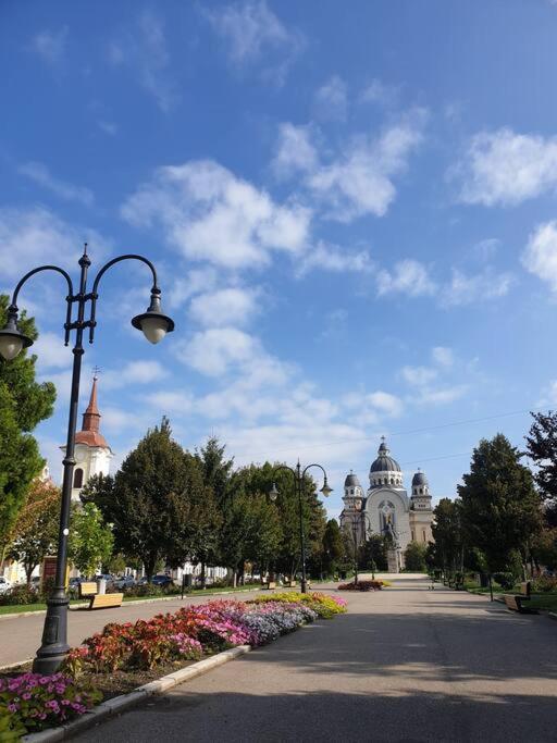 Zen By Downtown Apartments Тиргу-Муреш Екстер'єр фото